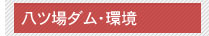 八ツ場ダム・環境